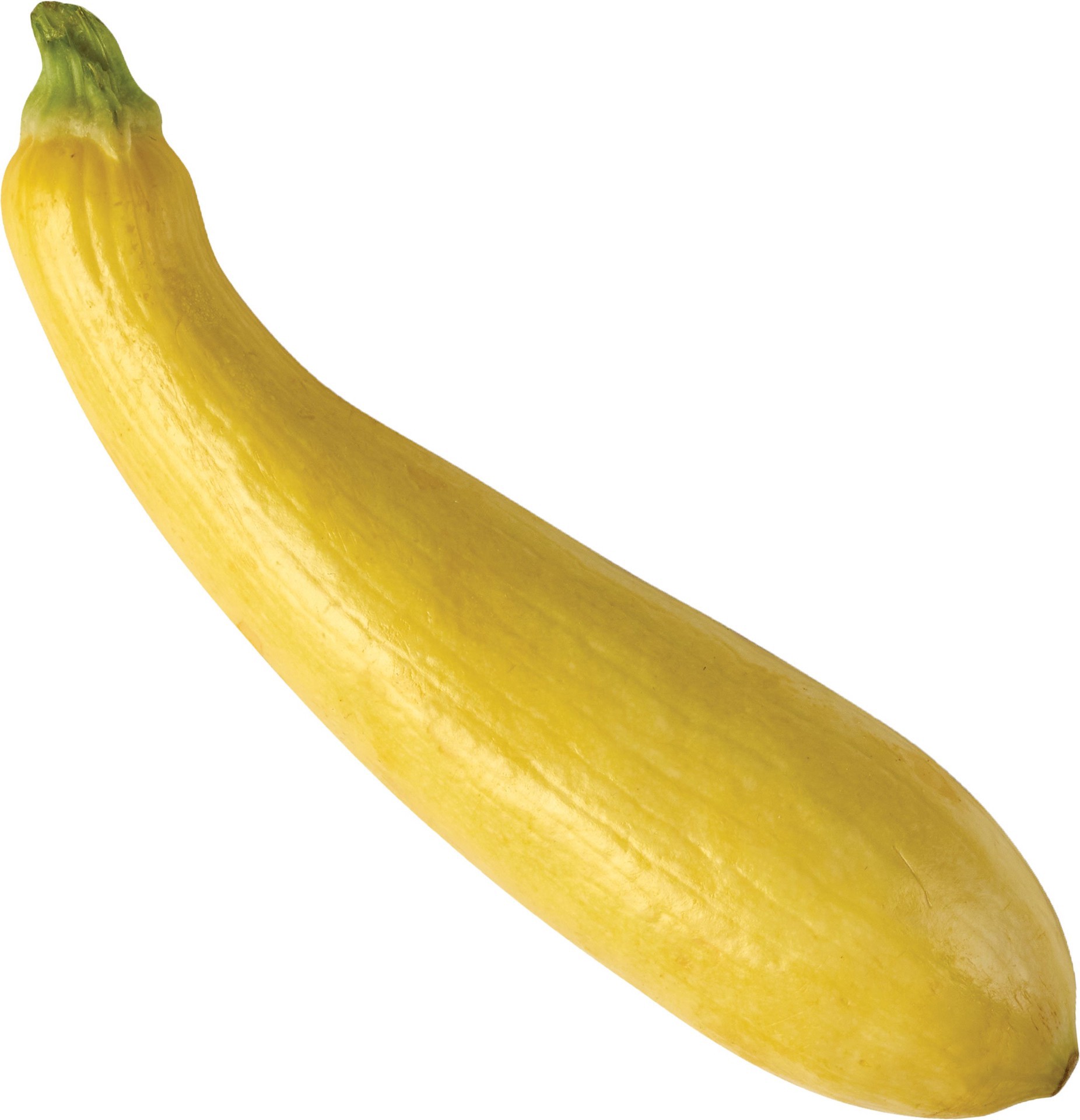 slide 1 of 1, Squash, 1 ct