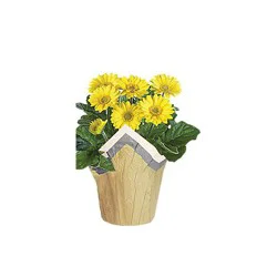 6 Inch Yellow Assorted Blooming - Each