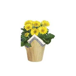 6 Inch Yellow Assorted Blooming - Each