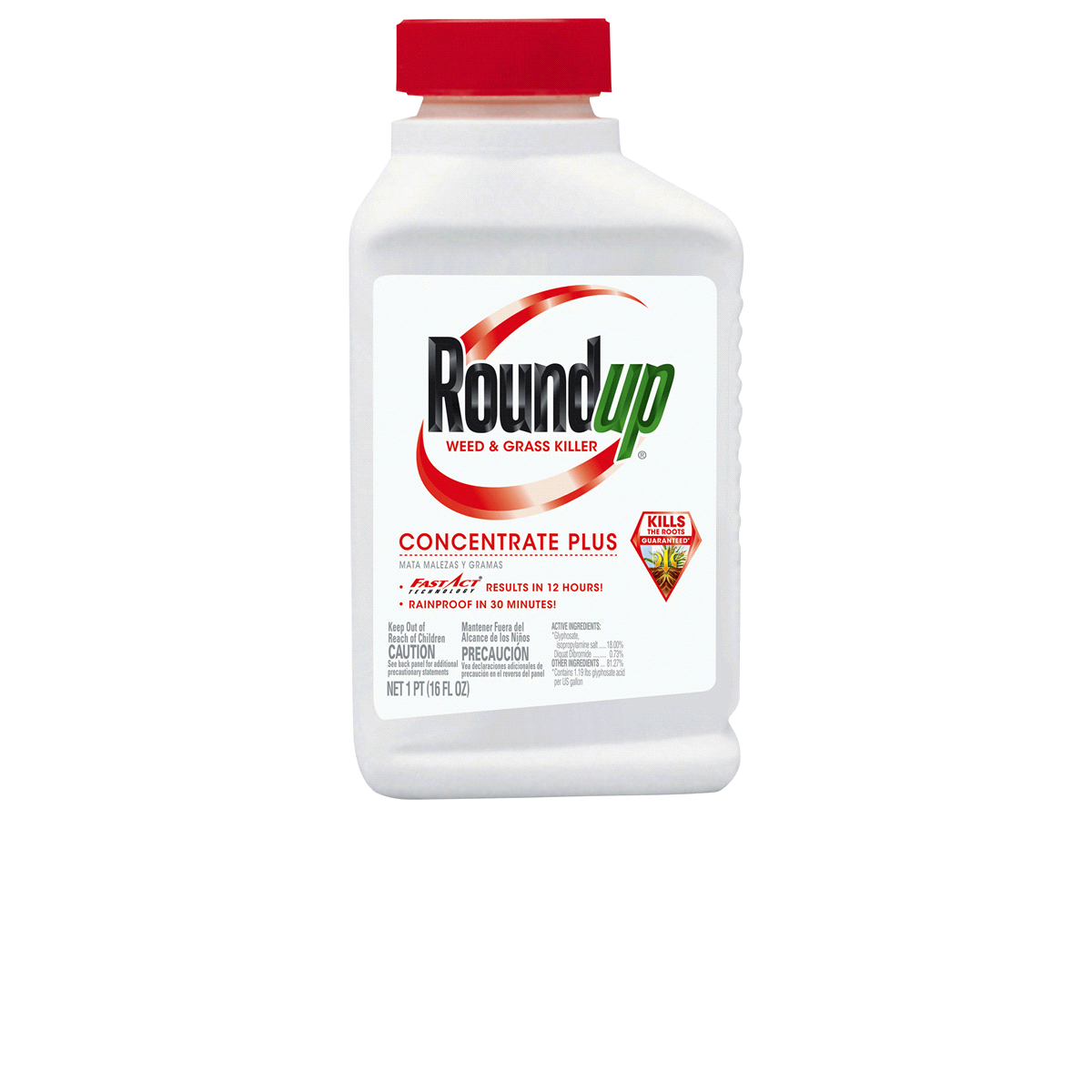 slide 1 of 1, Roundup Weed And Grass Killer Concentrate Plus, 16 oz