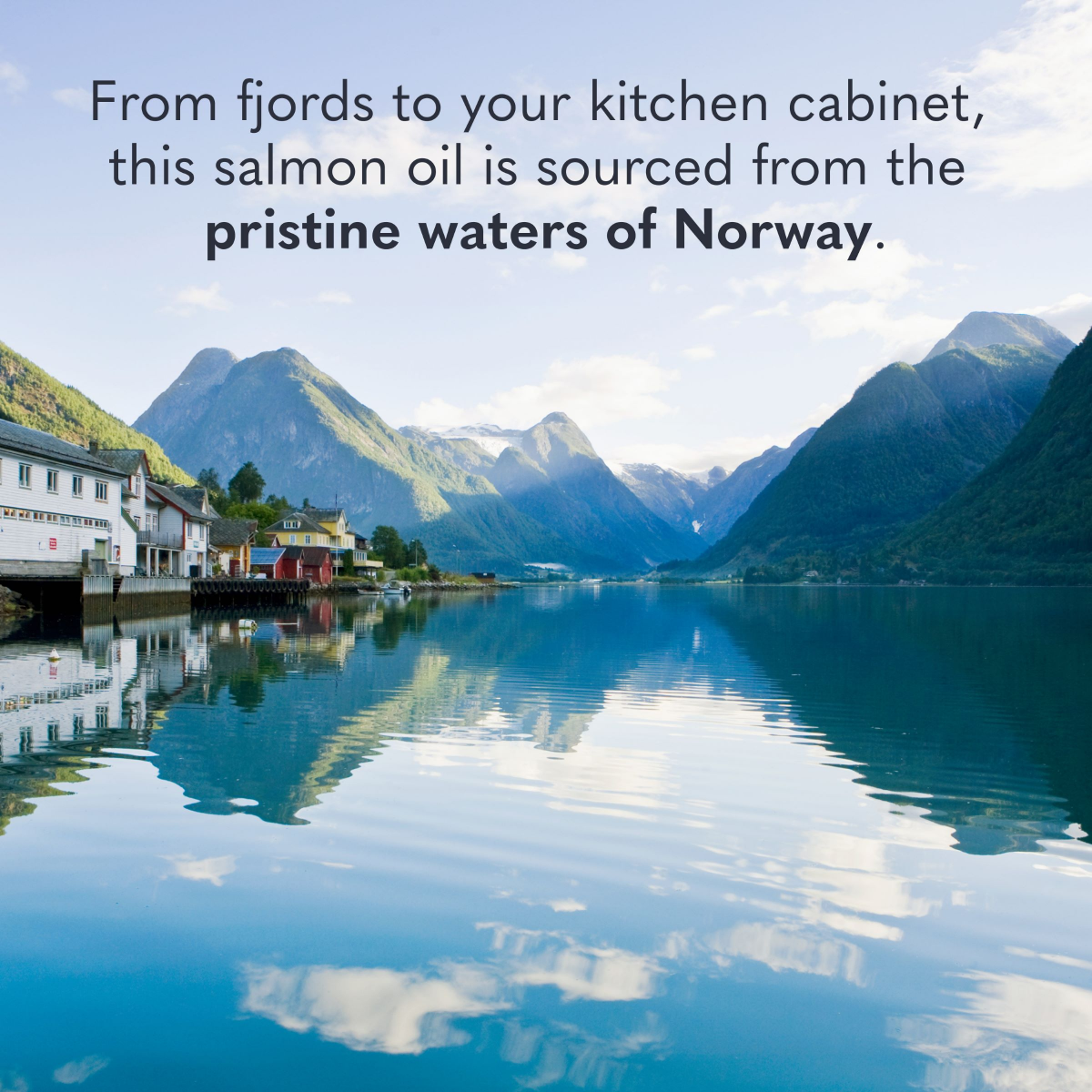 slide 4 of 5, Garden Of Life Salmon Oil, 60 ct