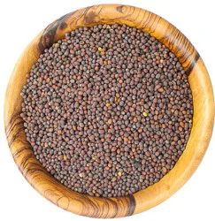 Southern Style Spices Bulk Whole Brown Mustard Seeds