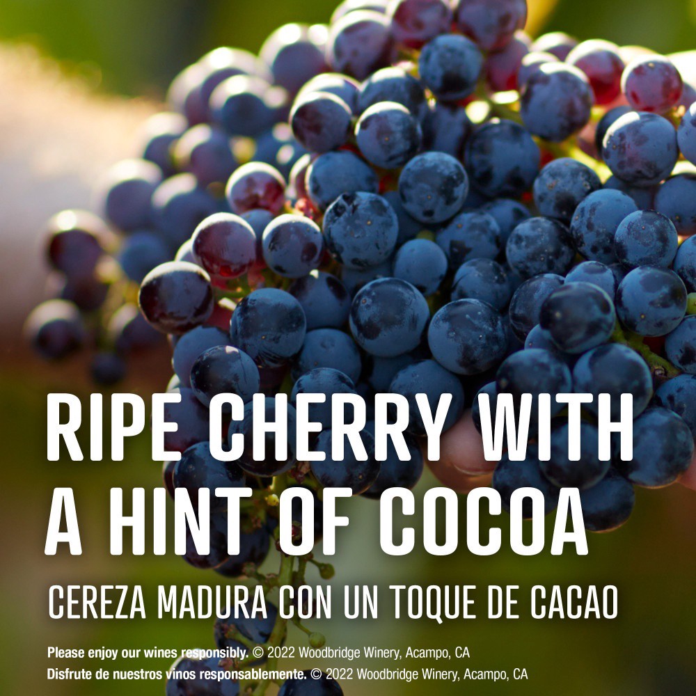 slide 6 of 7, Woodbridge by Robert Mondavi Pinot Noir, 3000 ml