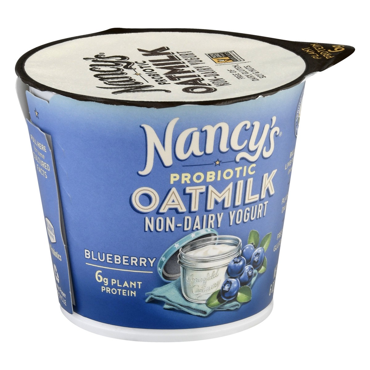 slide 6 of 13, Nancy's Probiotic Oatmilk Non-Dairy Blueberry Yogurt 6 oz, 6 oz