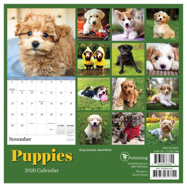 slide 3 of 5, TF Publishing 2026 TF Publishing Animals Mini Monthly Wall Calendar, 7"" x 7"", Puppies, January To December, 1 ct