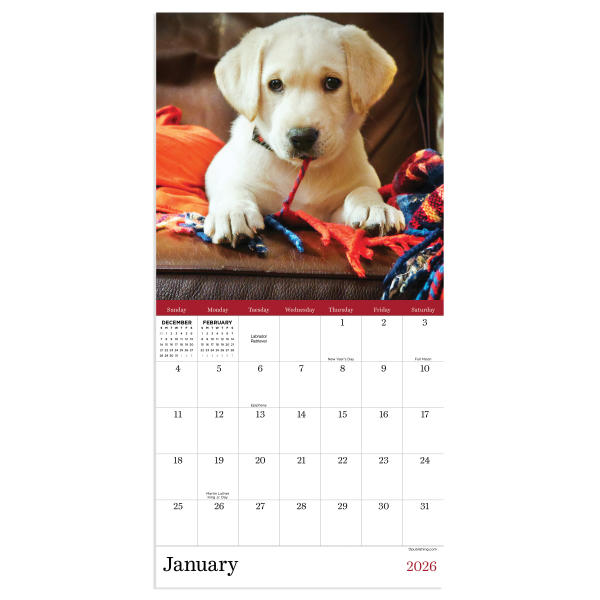 slide 2 of 5, TF Publishing 2026 TF Publishing Animals Mini Monthly Wall Calendar, 7"" x 7"", Puppies, January To December, 1 ct