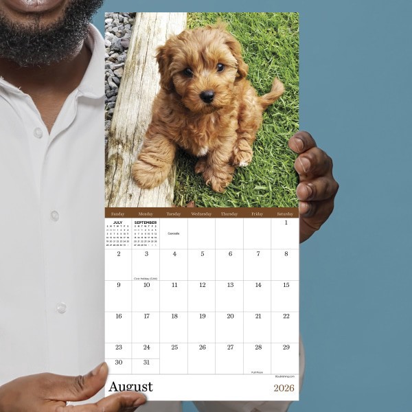 slide 5 of 5, TF Publishing 2026 TF Publishing Animals Mini Monthly Wall Calendar, 7"" x 7"", Puppies, January To December, 1 ct