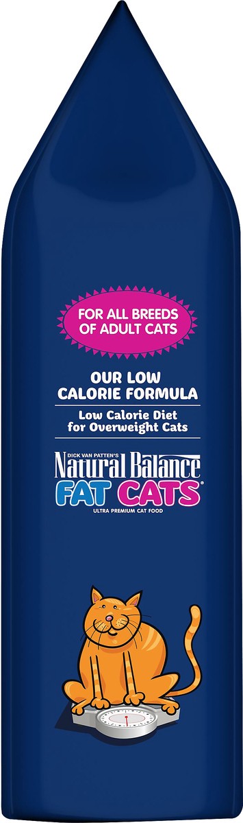 slide 6 of 7, Natural Balance Fat Cats Chicken & Salmon Formula Low Calorie Dry Cat Food, 6-Pound, 6 lb