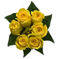 Yellow Roses