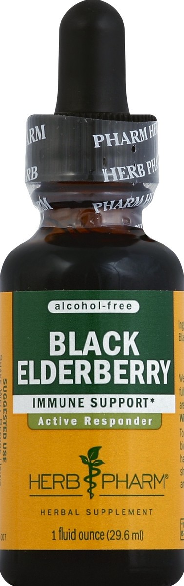 slide 1 of 1, Herb Pharm Black Elderberry 1 oz, 1 oz