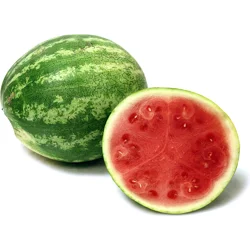 Watermelon- Seedless Organic