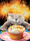 slide 1 of 1, Avanti Card Bday Cat With Sparkler Cake, 1 ct