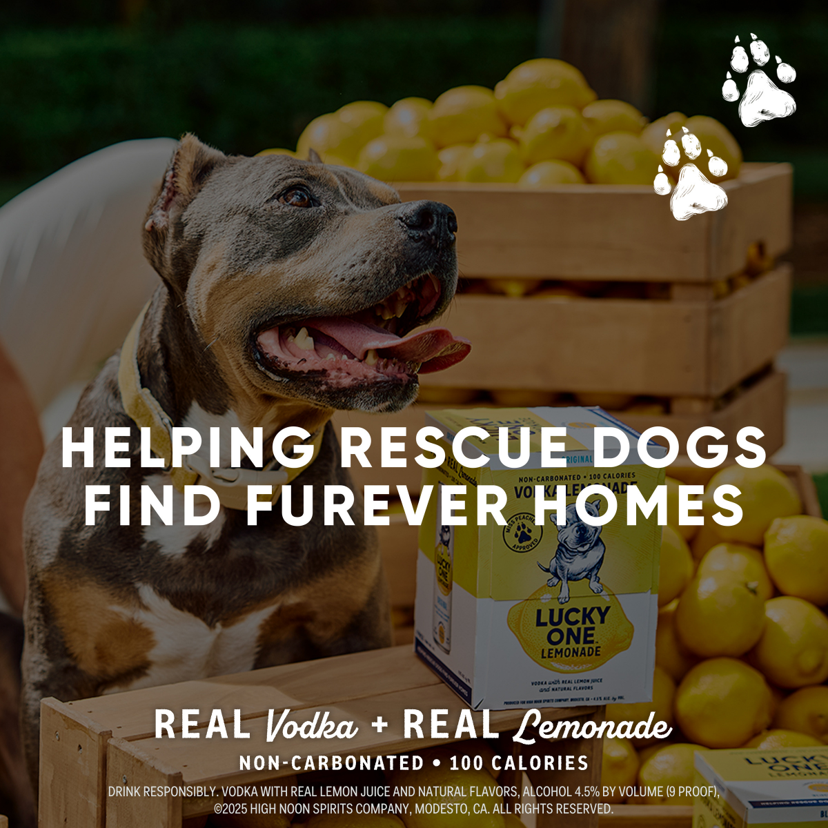 slide 3 of 3, Lucky One Lemonade Blueberry 4Pk Can 355, 4 ct; 355 ml