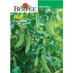 Burpee Pea Cascadia