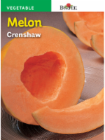 slide 1 of 1, Burpee Cantaloupe Crenshaw, 1 ct