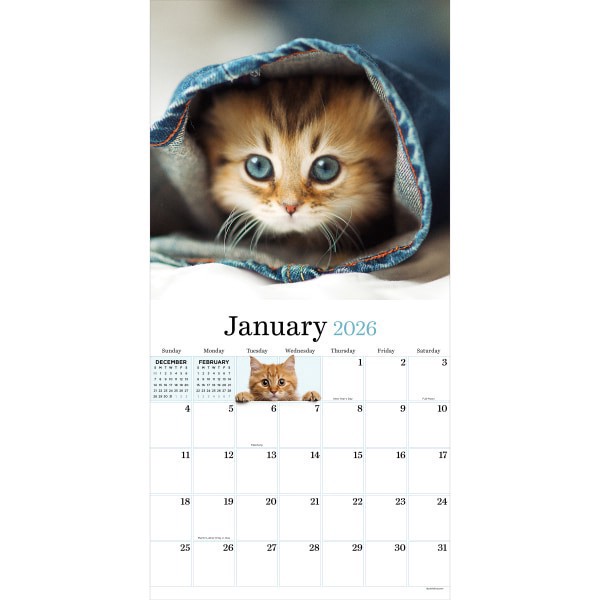 slide 4 of 5, TF Publishing 2026 TF Publishing Animals Monthly Wall Calendar, 12"" x 12"", Kittens, January To December, 1 ct