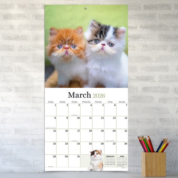 slide 2 of 5, TF Publishing 2026 TF Publishing Animals Monthly Wall Calendar, 12"" x 12"", Kittens, January To December, 1 ct