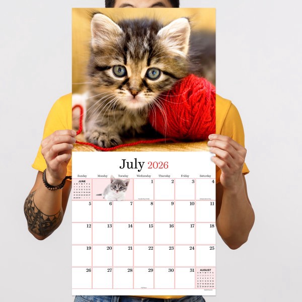 slide 5 of 5, TF Publishing 2026 TF Publishing Animals Monthly Wall Calendar, 12"" x 12"", Kittens, January To December, 1 ct