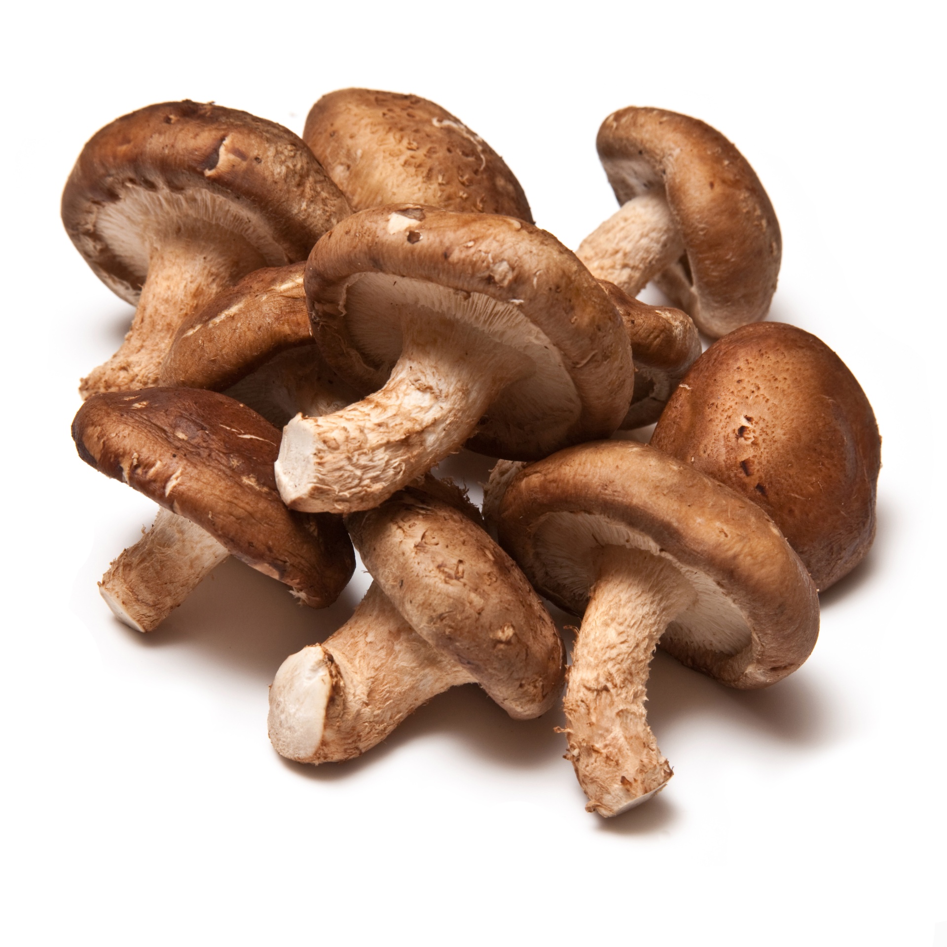 slide 1 of 1, Highline Mushrooms Organic Shiitake Mushrooms, 1 ct