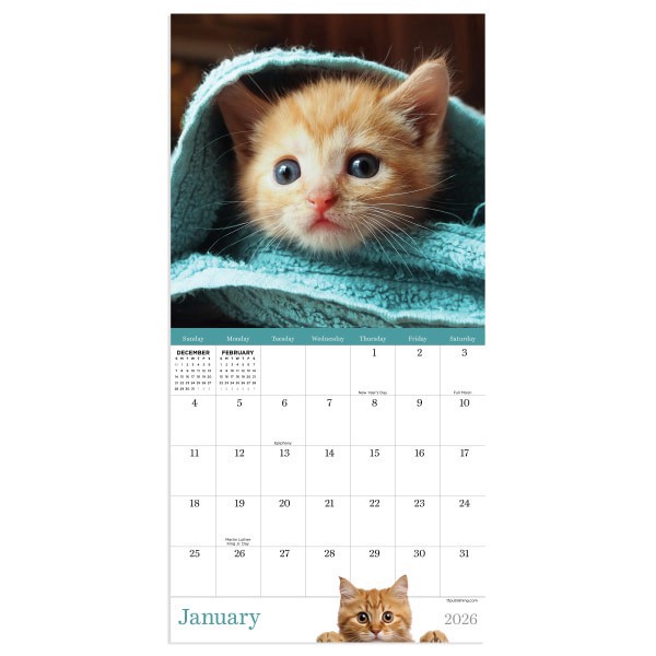 slide 3 of 4, TF Publishing 2026 TF Publishing Animals Mini Monthly Wall Calendar, 7"" x 7"", Kittens, January To December, 1 ct