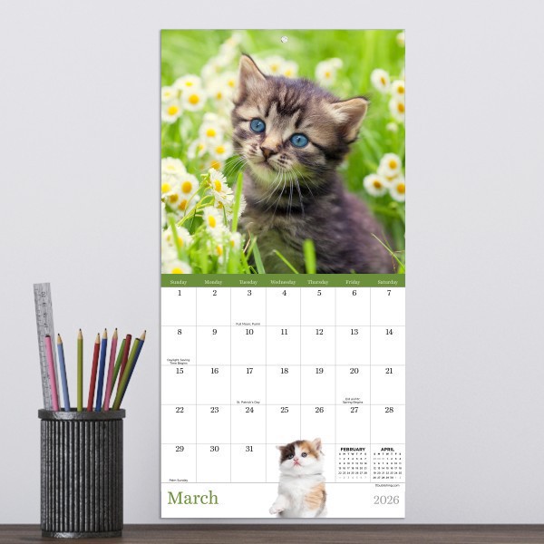 slide 2 of 4, TF Publishing 2026 TF Publishing Animals Mini Monthly Wall Calendar, 7"" x 7"", Kittens, January To December, 1 ct
