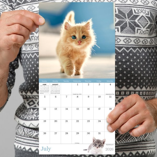 slide 4 of 4, TF Publishing 2026 TF Publishing Animals Mini Monthly Wall Calendar, 7"" x 7"", Kittens, January To December, 1 ct