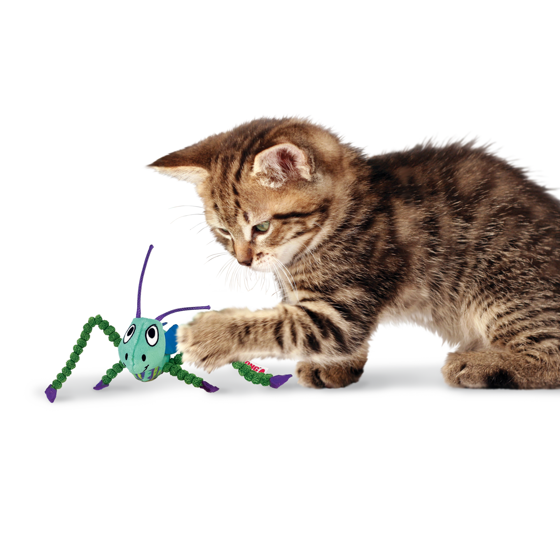 slide 3 of 4, KONG Crackles Grasshopper, 1 ct