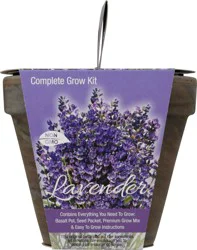 TotalGreen Total Green Lavender Grow Kit