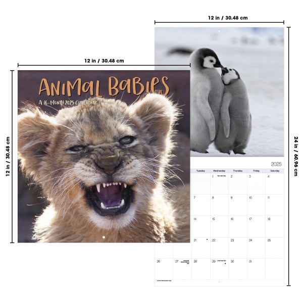 slide 7 of 7, Dateworks 2025 Animal Babies Wall Calendar, 1 ct