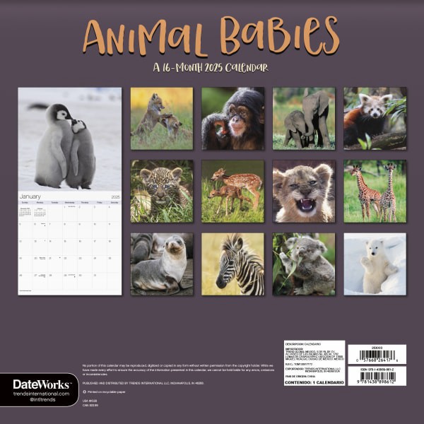 slide 2 of 7, Dateworks 2025 Animal Babies Wall Calendar, 1 ct