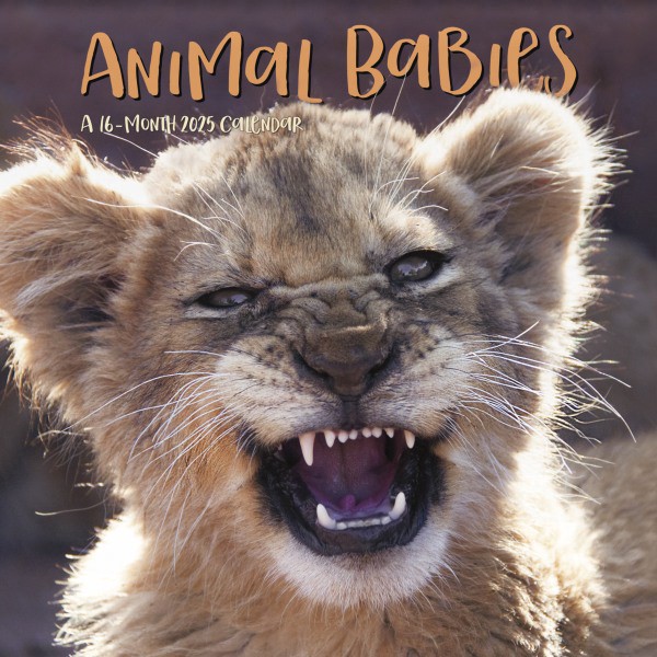 slide 1 of 7, Dateworks 2025 Animal Babies Wall Calendar, 1 ct