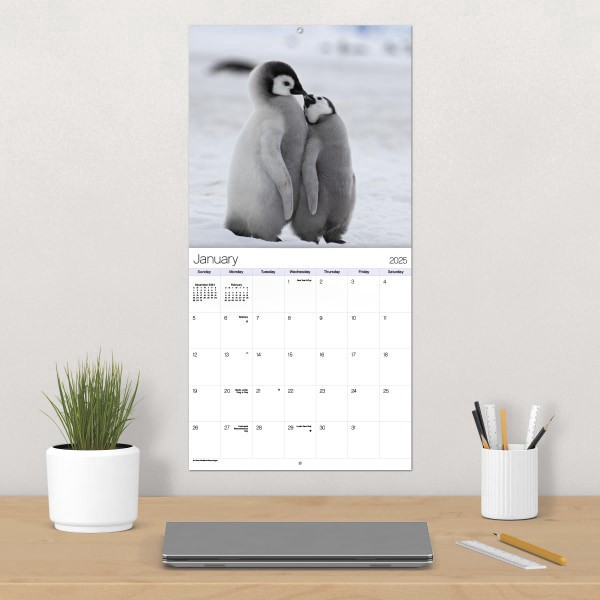 slide 3 of 7, Dateworks 2025 Animal Babies Wall Calendar, 1 ct