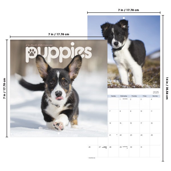 slide 3 of 6, 2025 Dateworks Mini Calendar, 7"" X 7"", Puppies, January To December, 1 ct