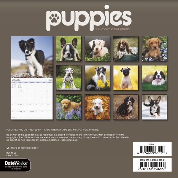 slide 5 of 6, 2025 Dateworks Mini Calendar, 7"" X 7"", Puppies, January To December, 1 ct