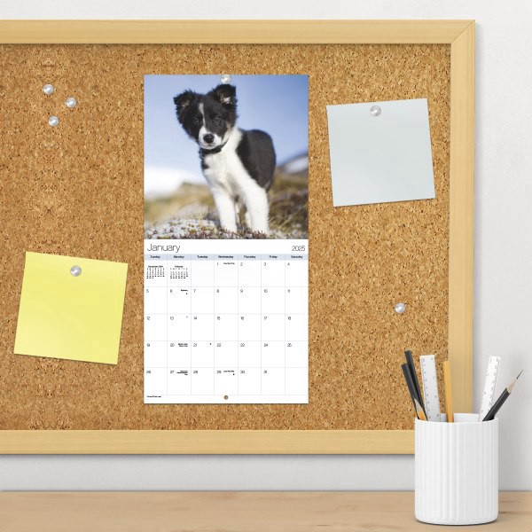 slide 2 of 6, 2025 Dateworks Mini Calendar, 7"" X 7"", Puppies, January To December, 1 ct