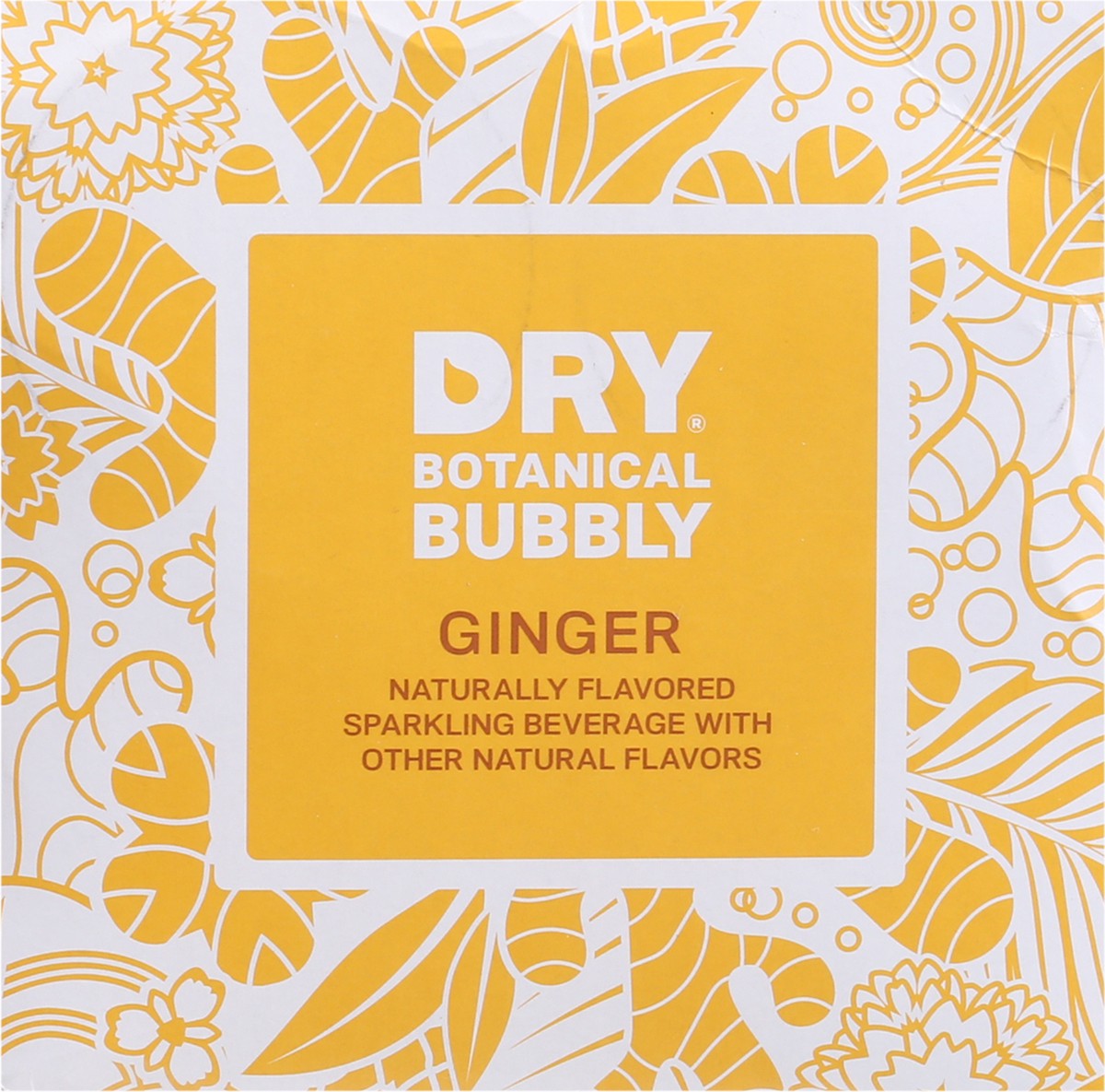 slide 9 of 9, Dry Botanical Bubbly Ginger Soda, 4 ct; 12 fl oz