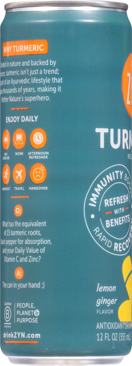 slide 2 of 11, Zyn Turmeric Wellness Lemon Ginger - 16 oz, 16 oz