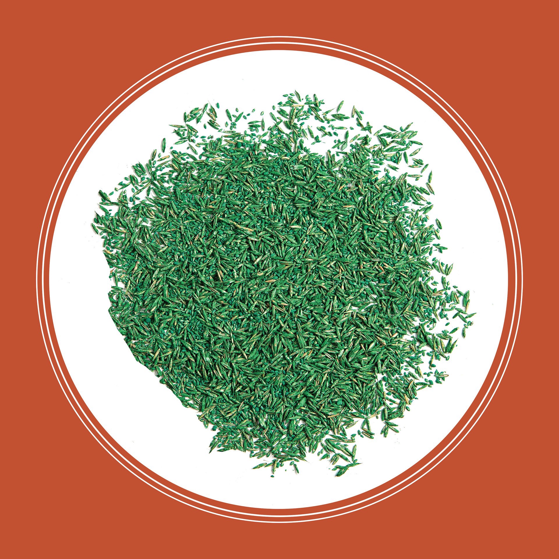 slide 3 of 6, Pennington Bermudagrass Grass Seed, 1 lb