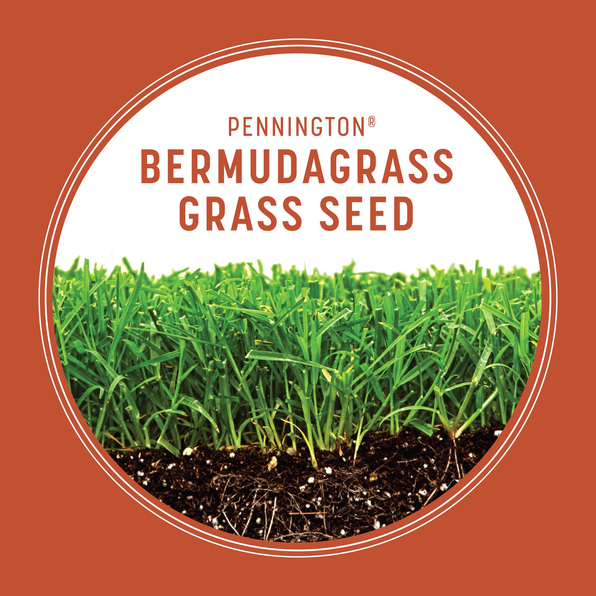 slide 4 of 6, Pennington Bermudagrass Grass Seed, 1 lb