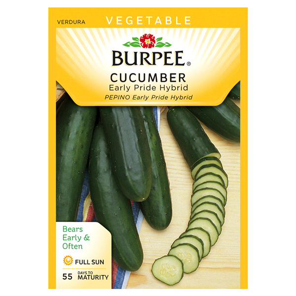 slide 1 of 1, Burpee Cucumber Early Pride Hybrid Seeds, 1 ct