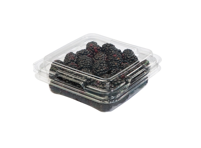 slide 1 of 1, Driscoll's Blackberries, 6 oz