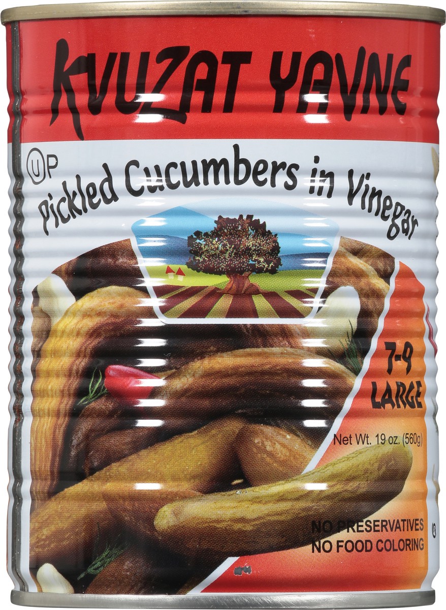 slide 9 of 9, Kvuzat Yavne Pickled Cucumbers in Vinegar 19 oz, 19 oz