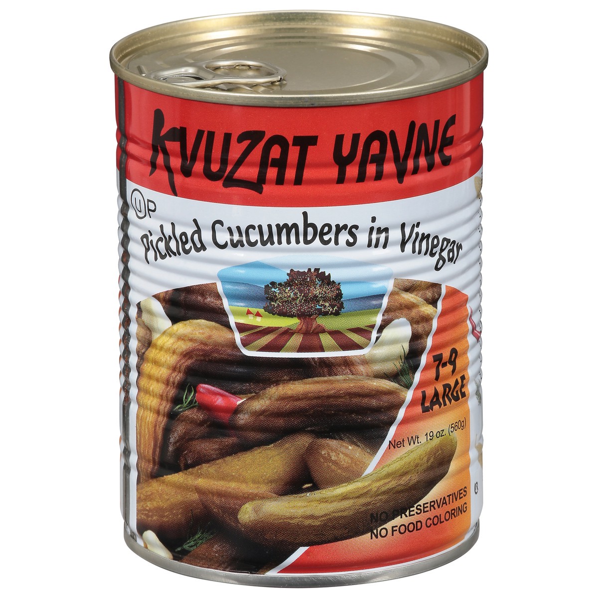 slide 1 of 9, Kvuzat Yavne Pickled Cucumbers in Vinegar 19 oz, 19 oz