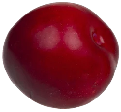 Fresh Organic Plums Red