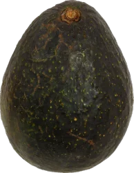 Florida Old Reserve Rum Avocado Florida