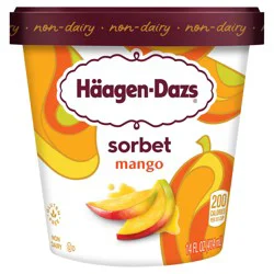 Häagen-Dazs Non-Dairy Sorbet Sorbet 14 fl oz