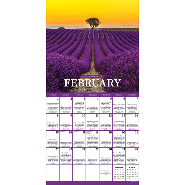 slide 5 of 5, TF Publishing 2026 TF Publishing Inspirational Monthly Wall Calendar, 12"" x 12"", Daily Verse, January To December, 1 ct