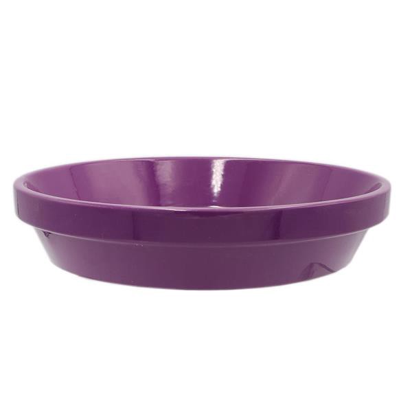 slide 1 of 1, 10" Violet Crayon Saucer, 1 ct