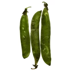 English Green Peas