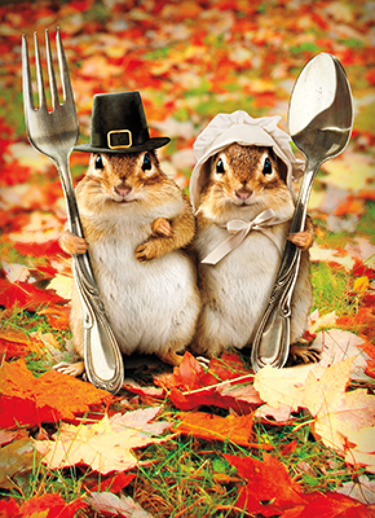 slide 1 of 1, Avanti Card Thnk Chipmunk Couple, 1 ct